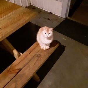 Meet your Posher, Shane